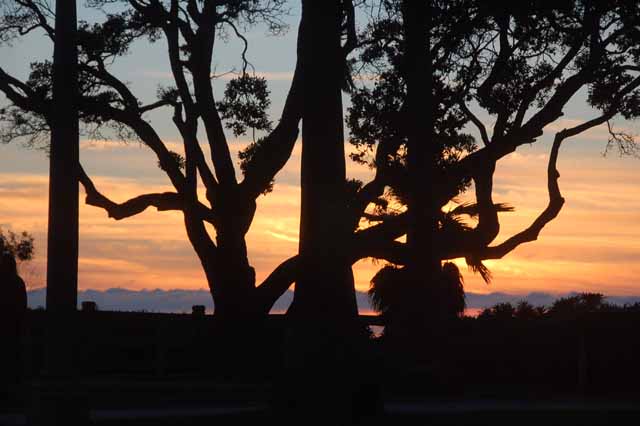 Santa Monica Park